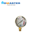 2.5"Back Connection Series General Pressure Gauge